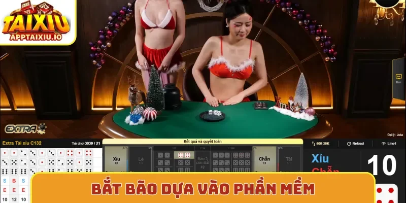 Bắt bão dựa vào phần mềm