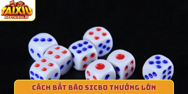 Cách bắt bão sicbo thưởng lớn