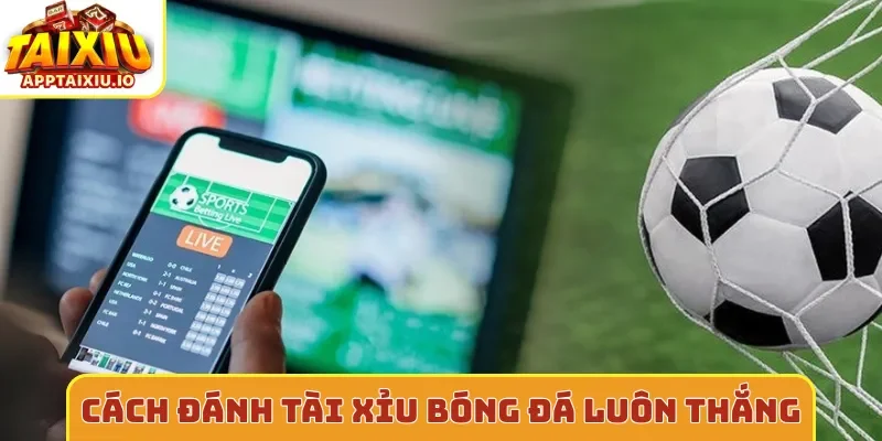 Cách đánh tài xỉu bóng đá luôn thắng