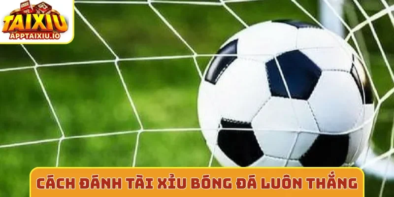 Cách đánh tài xỉu bóng đá luôn thắng hay nhất